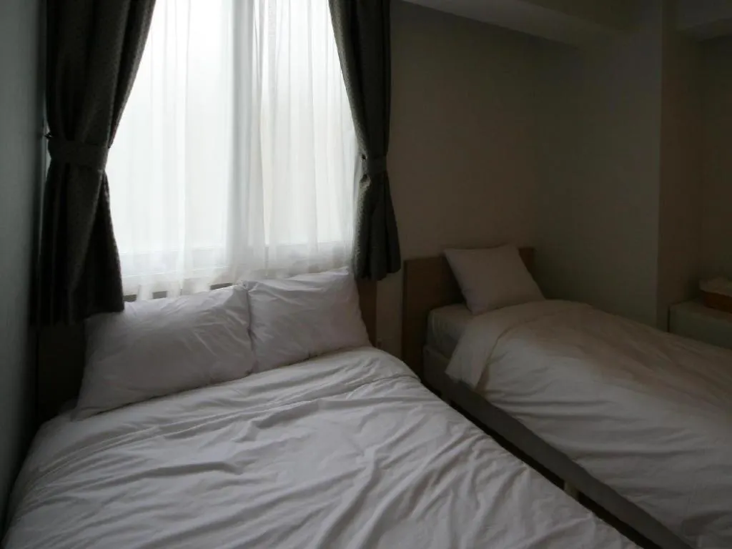 Wons Ville Myeongdong Hotel Soul